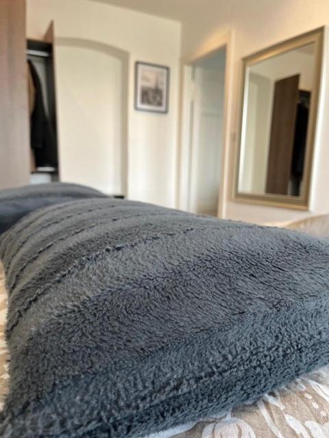 Cosy Rent Strasbourg Orangerie Tv Wifi Cathedrale Apartment Ngoại thất bức ảnh