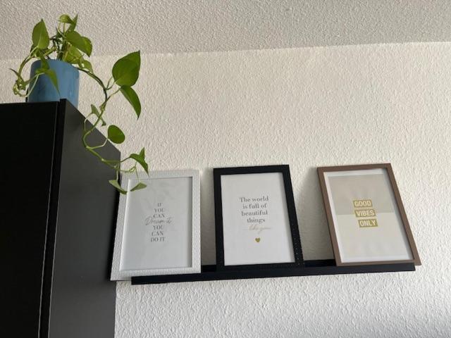 Cosy Rent Strasbourg Orangerie Tv Wifi Cathedrale Apartment Ngoại thất bức ảnh