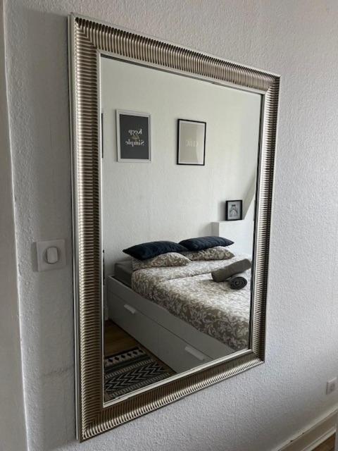 Cosy Rent Strasbourg Orangerie Tv Wifi Cathedrale Apartment Ngoại thất bức ảnh